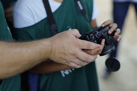 Projeto Retratos Da Natureza Oferece Oficinas Gratuitas De Fotografia