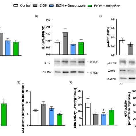 Effect Of AdipoRon On Inflammatory Markers And Anti Oxidant Mechanisms