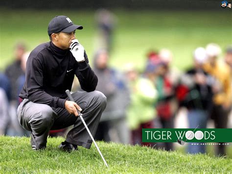 Tiger Woods - Tiger Woods Wallpaper (5293718) - Fanpop