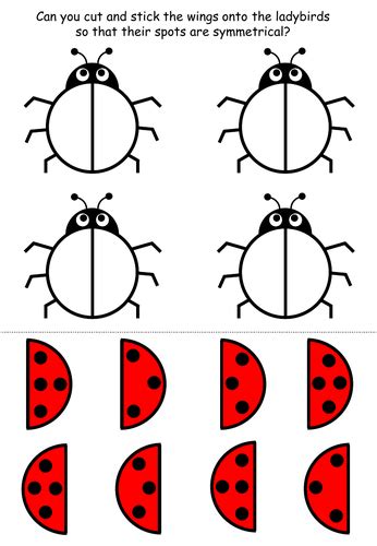 Ladybird Symmetry Teaching Resources
