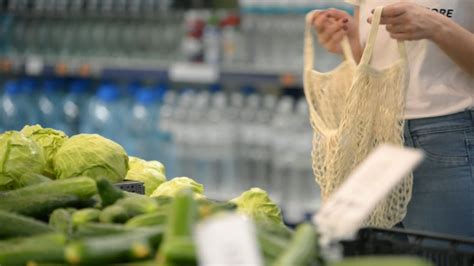 cotton picking stock video footage   hd video clips shutterstock