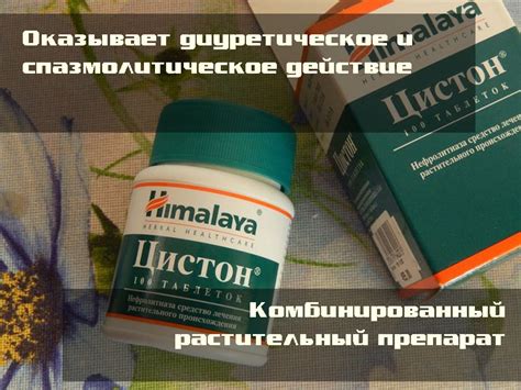 Цистон Таблетки Фото – Telegraph