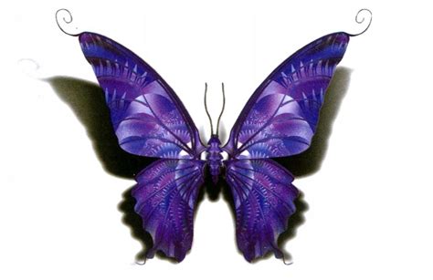 Tatuaż TYMCZASOWY Motyl butterfly 3D cień Piękny ERLI pl