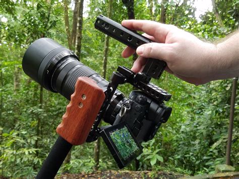 Costa Rica filming Sloths - Heath Jordan Business Consultant