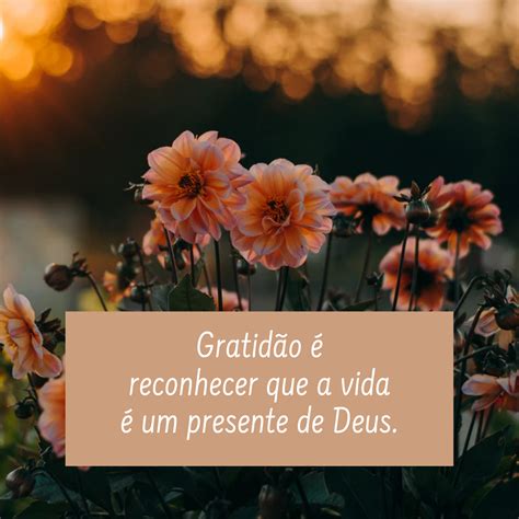 Gratidão A Deus Frases Curtas - Frases De Gratidão Curtas | Descubra as Melhores Frases de Gratidão em ...