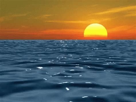 Beautiful Sunset Beach GIF | GIFDB.com