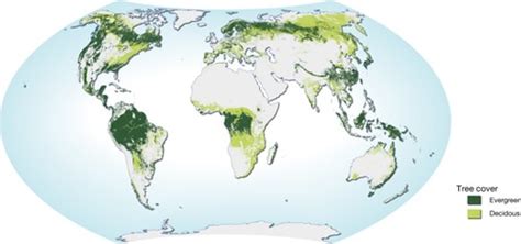 world map  forest distribution natural resources fore flickr