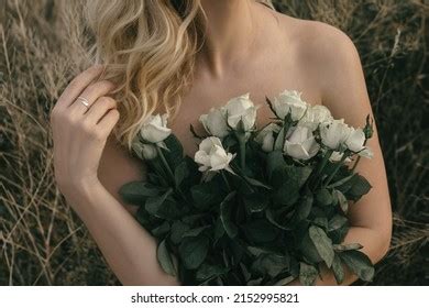 Nude Rose Petals Stock Photos Images Photography Shutterstock