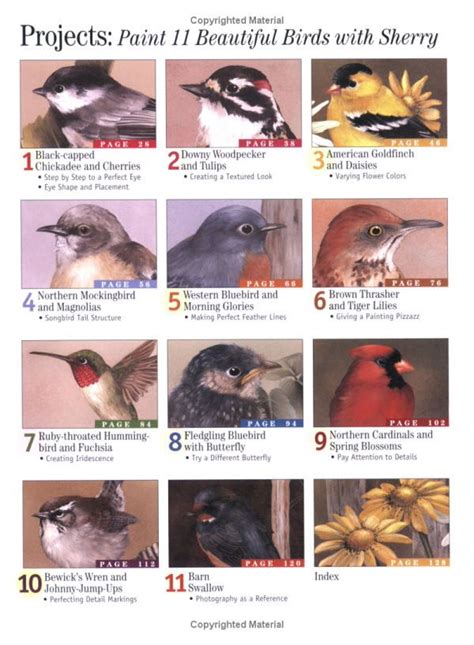 17 Best Images About Sherry C Nelson On Pinterest Garden Birds Hand