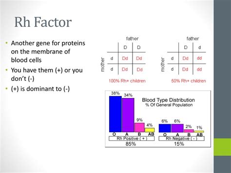 PPT Adva Nced Genetics Multiple Alleles Sex Linked Traits PowerPoint Presentation ID