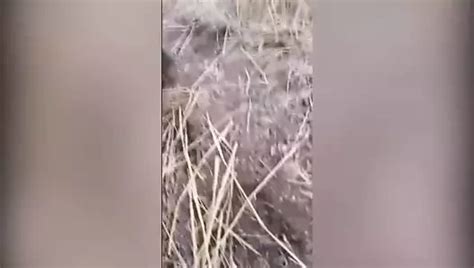 Turbanli Yengesini Arabada Sikiyor Konusmali Mom Porn XHamster