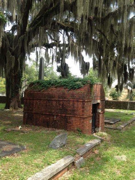 Things To Do In Dauphin Island 7
