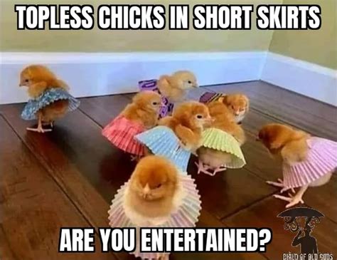 Naked Chick Memes Did Someone Say Memes