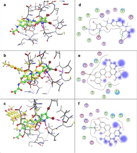 A Validation Process Superimposition Of The Co Crystallized Ligand