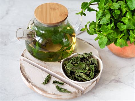 Как засушить мяту в домашних условиях для чая | Меню недели