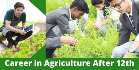 Career In Agriculture After 12th 2020 Courses Scope Jobs And Salary