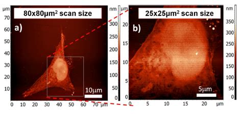 A Schematic Of Soft X Ray Contact Microscope B View Of Sxcm C