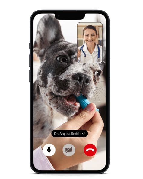 pet care telehealth app virtual vet support  petzey