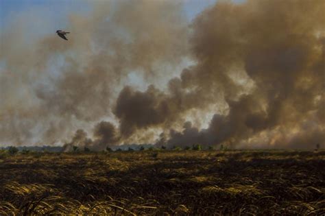 FOTO: Asap Hitam Selimuti Kebakaran Hutan dan Lahan di Kalsel