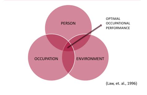 peo model flashcards quizlet