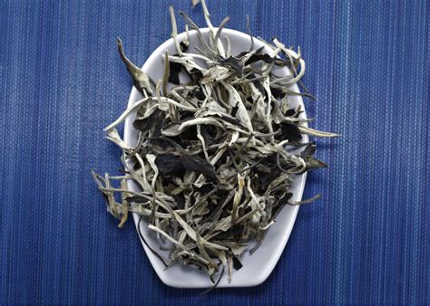 White Tea | Beautiful Taiwan Tea Company