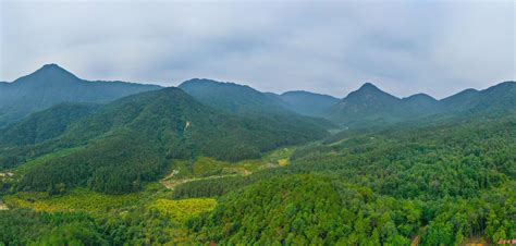 敢教荒山变林海 弘扬岳山造林精神系列报道之一 林海 新浪新闻