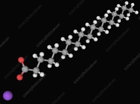 Sodium Stearate Molecule Stock Image F004 6018 Science Photo Library