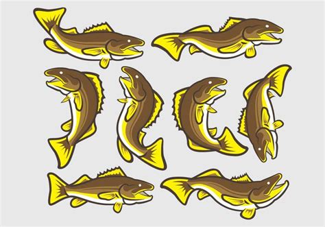 Walleye Vector at Vectorified.com | Collection of Walleye Vector free ...