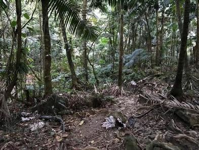 EL YUNQUE NATIONAL FOREST CAMP SITES