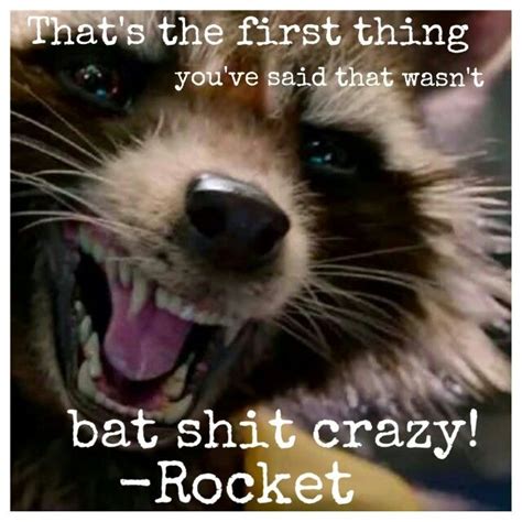 Quotes About Rockets 122 Quotes