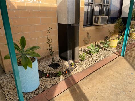 Check out our Wellness Garden... - TAFE NSW - Wetherill Park