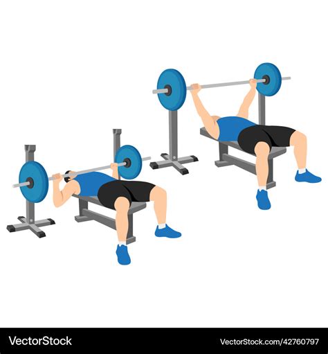 Man Doing Barbell Bench Press Chest Press Vector Image