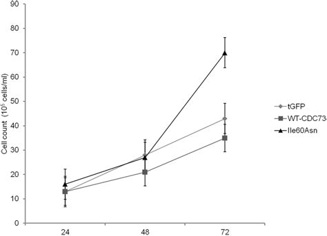 Cell proliferation assay. Cell counts at three different time points ...
