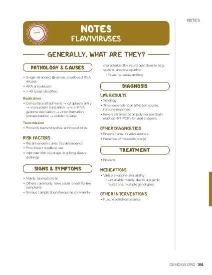 Flaviviruses Notes: Diagrams & Illustrations | Osmosis
