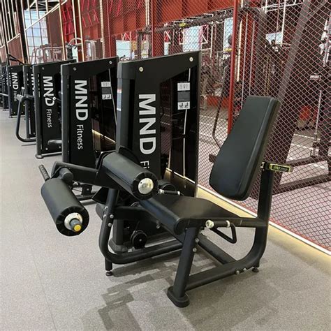 Triple Star Bruneis Guide To Top Gym Equipment Building Strength Wellness And Innovation In Every Machine