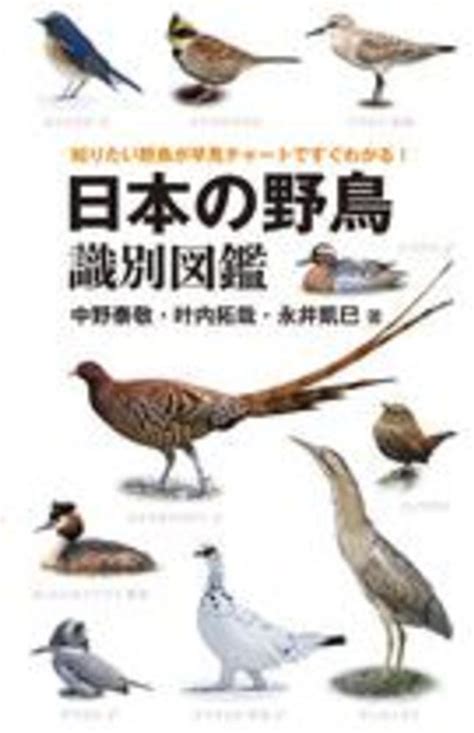 日本の野鳥識別図鑑 中野 泰敬 叶内 拓哉 永井 凱巳【著】 紀伊國屋書店ウェブストア｜オンライン書店｜本、雑誌の通販、電子書籍ストア