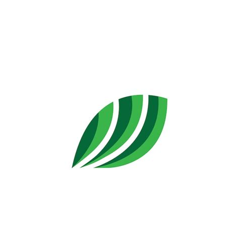 Dise O Vectorial Del Logotipo De Hoja Verde Simple Vector Premium