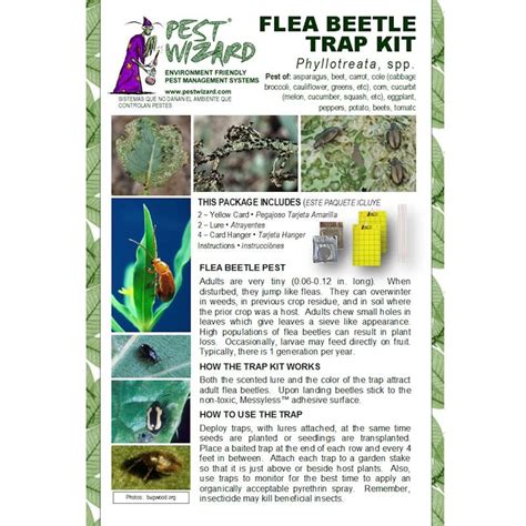 Premium Quality Pest Wizard Flea Beetle Trap Kit Plant Seeds Sales