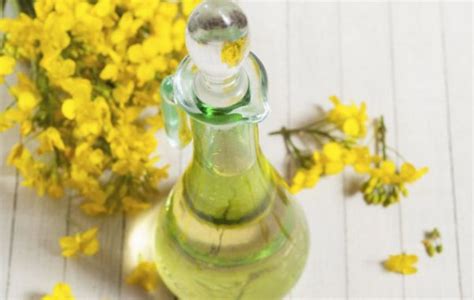 Растительное масло: из чего делают, какое бывает, классификация, все виды