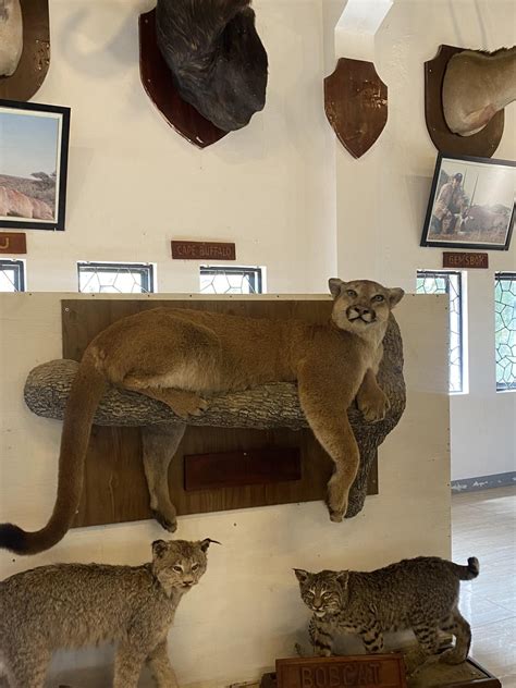 Baluarte in Ilocos : r/pinoy