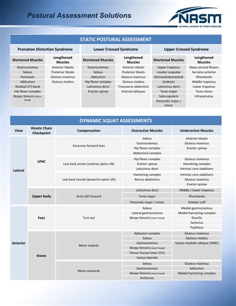 Nasm Cpt Assessment Solutions Table