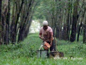 Pasokan Seret Harga Karet Masih Akan Melambung