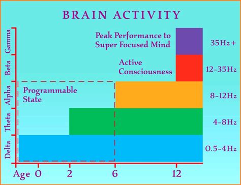 brain-activity