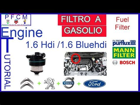 Come Si Sostituisce Il Filtro Del Gasolio Nella Citroen C Hdi