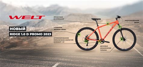 Магазин спортивных товаров СпортиЯ