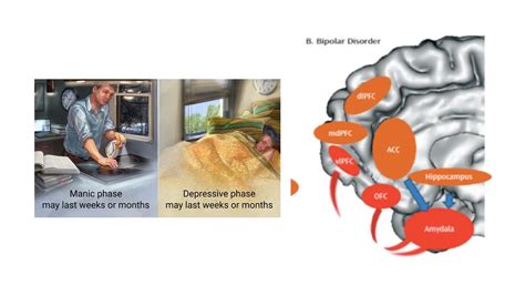 The Neuroscience Of Bipolar Disorder Emotional Regulation Youtube