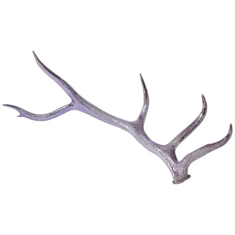 Deer Shed Antler Drawing