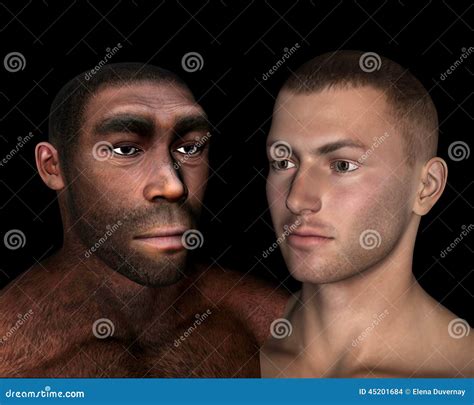 Homo Erectus