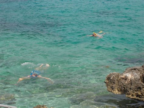 Cozumel has perfect snorkeling | Cozumel, Snorkeling, Travel