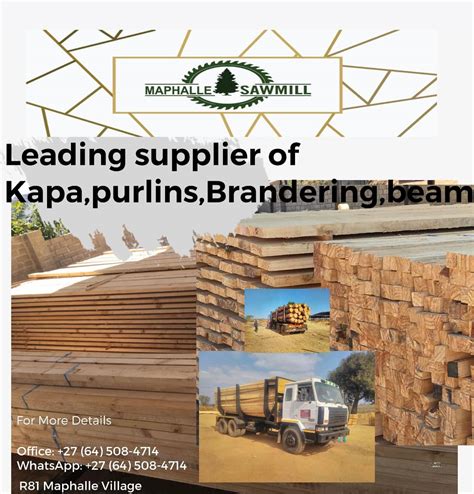 We Supply Quality Strong Pine Roof Maphalle Sawmill